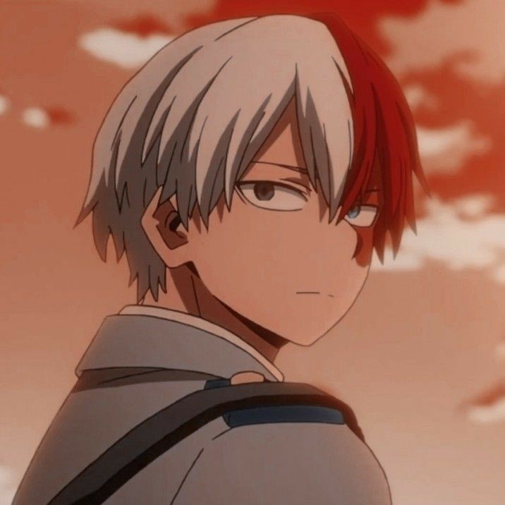 Ánh mắt sâu lắng của Shoto Todoroki