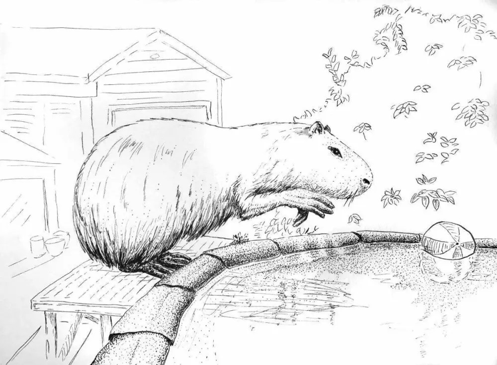 Bé yêu sẽ mê mẩn với tranh capybara cute sống động và dễ thương
