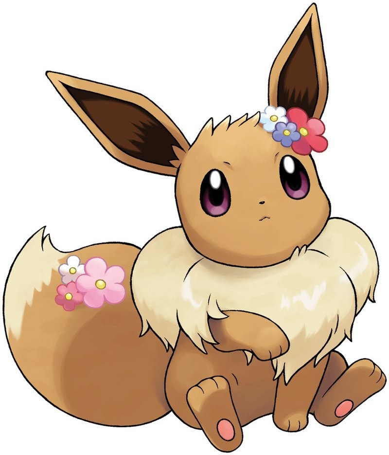 Eevee tò mò khám phá thế giới xung quanh