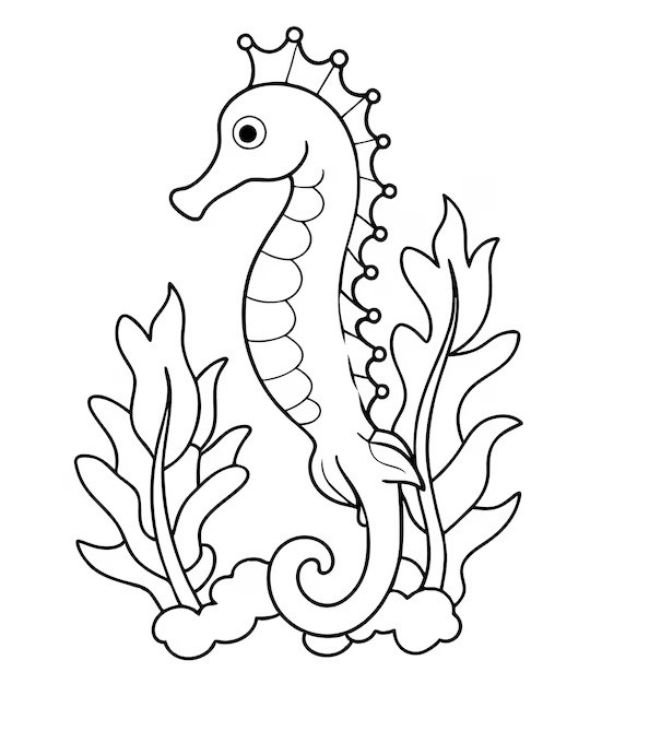 Hình tô màu cá ngựa đẹp