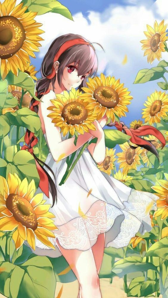 Hoa hướng dương nở rộ dưới bầu trời trong vắt