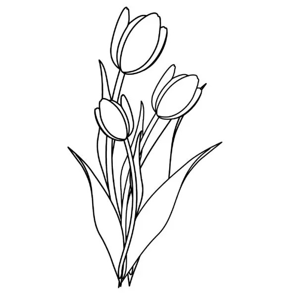 Khám phá bộ sưu tập tranh tô màu hoa tulip đẹp và sinh động