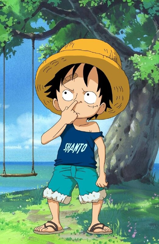 Luffy với nụ cười tự tin và phong thái dứt khoát