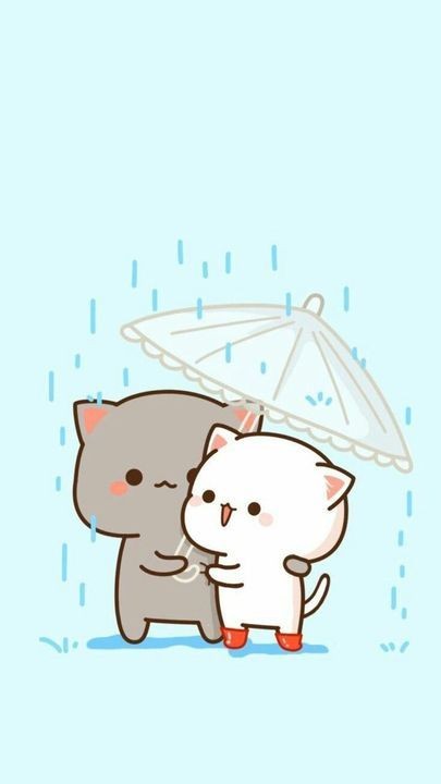 Mèo Anime lãng mạn và tình cảm