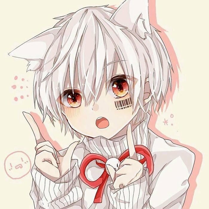 Mèo Anime ngầu và bí ẩn