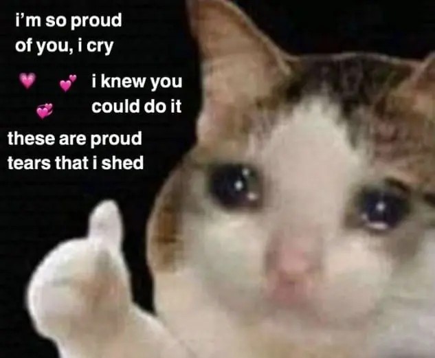 Mèo meme like đáng yêu hài hước