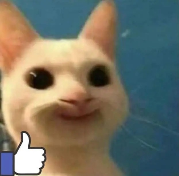 Mèo meme like tự tin hài hước