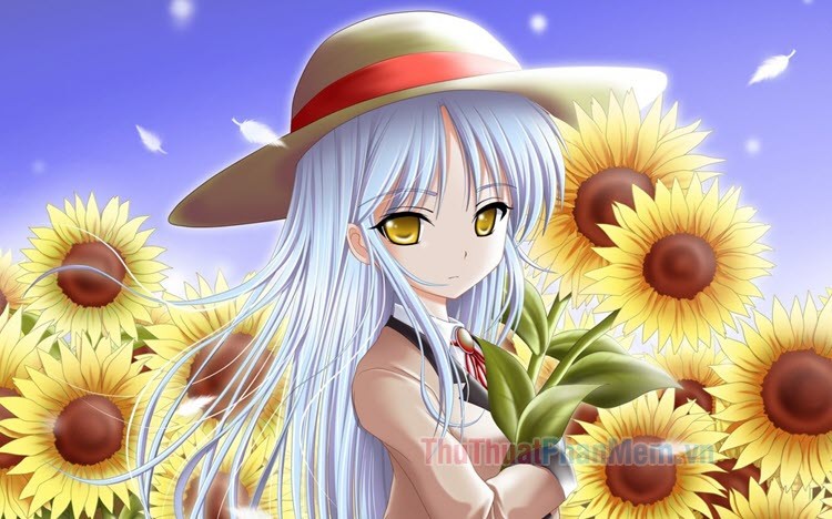 Nhân vật anime ngồi giữa cánh đồng hoa hướng dương