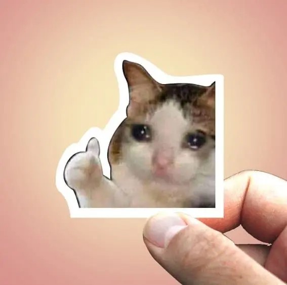 Sticker meme like mèo
