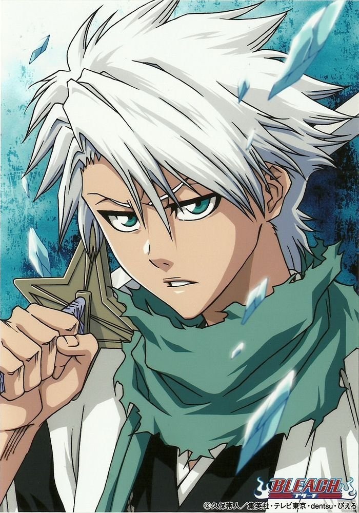 Sự kiên định của Hitsugaya Toshiro
