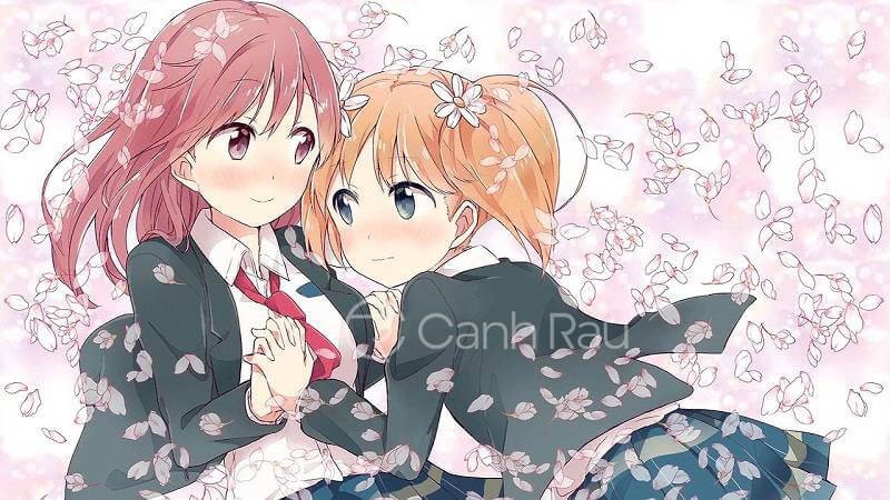 Sự nhẹ nhàng và tinh tế trong ảnh anime bách hợp