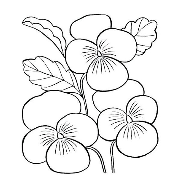 Tô màu hình bông hoa 3 cánh đơn giản