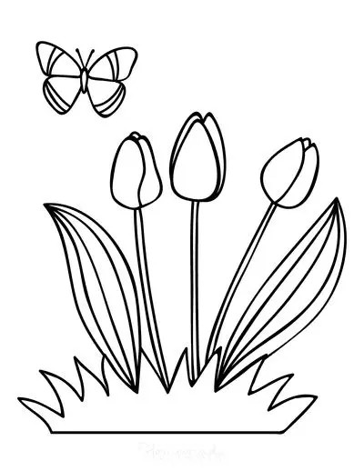 Tranh tô màu hoa tulip với các họa tiết sắc nét