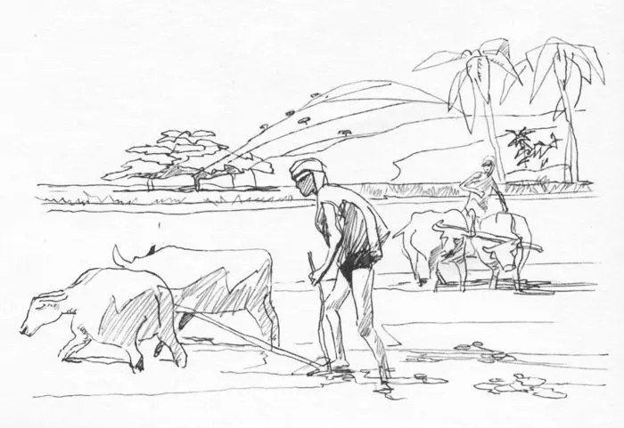 Tranh tô màu phong cảnh thiên nhiên cho bé thỏa sức sáng tạo