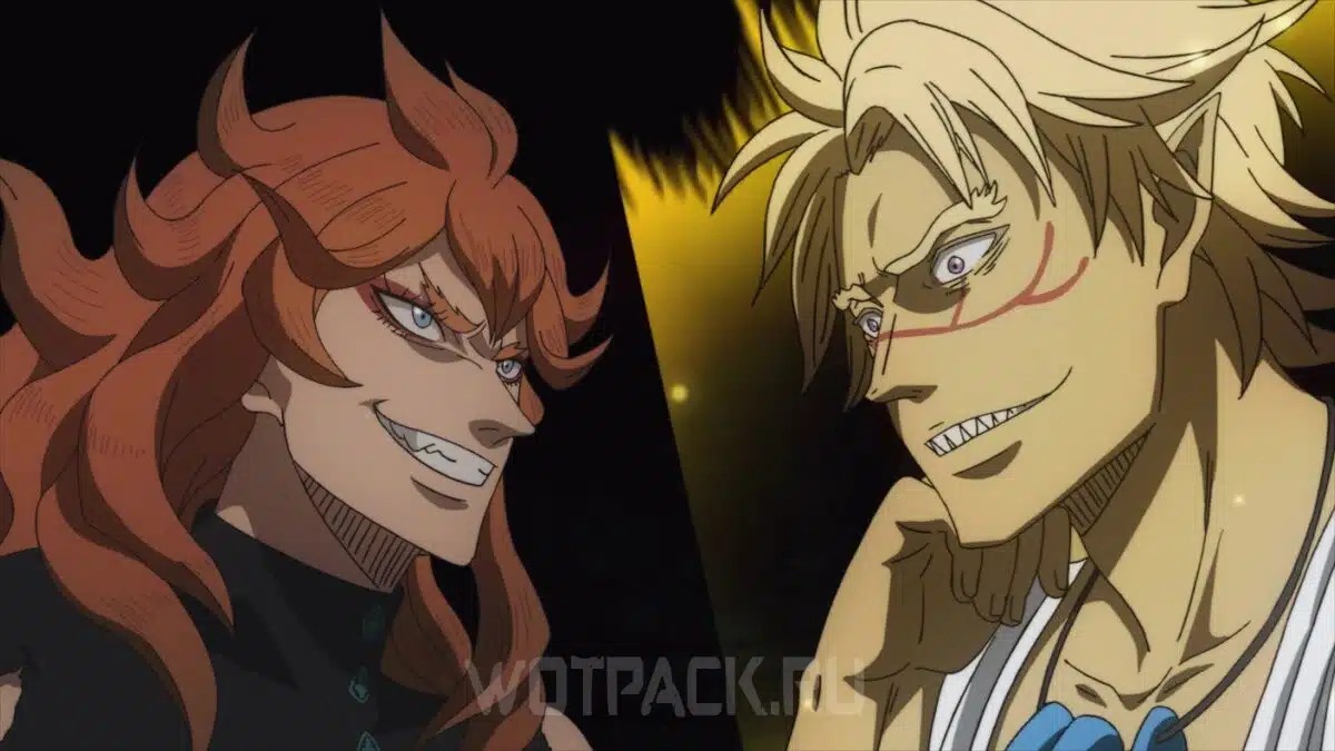 Vetto